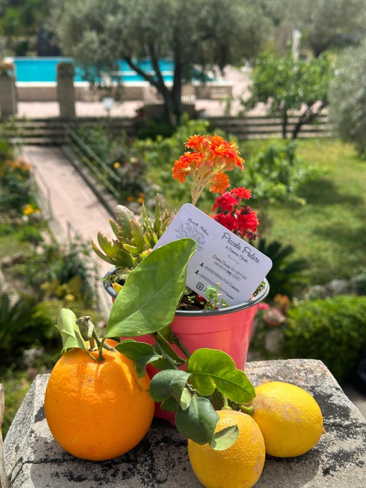 Piccolo Podere Apartman Melilli Kültér fotó